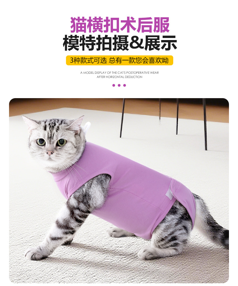猫术后服_10.jpg