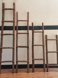 ��Ƥ��ľ�����b�ԭľ�����K�ݏ͹�ֱ�ݔ[��ľ�|ܛ��ɭϵ�zӰ����