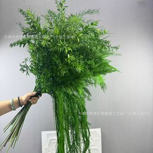 ��cɭϵ�Gɫϵ�����~�ӻ�Y���b����컨�ٻ��Gֲ��Ȼϵ�������l