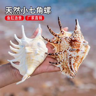 ��Ȼ����ؐ��֩�����߽��ݼҾ��b��~��ˮ���쾰�Ĕz�����ղؘ˱�