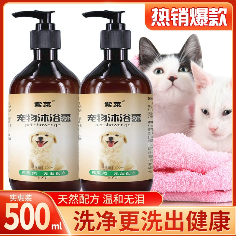 Цветочный сезон Домашние животные моют пузырьки Собаки чистят пену Кошки промывают пены