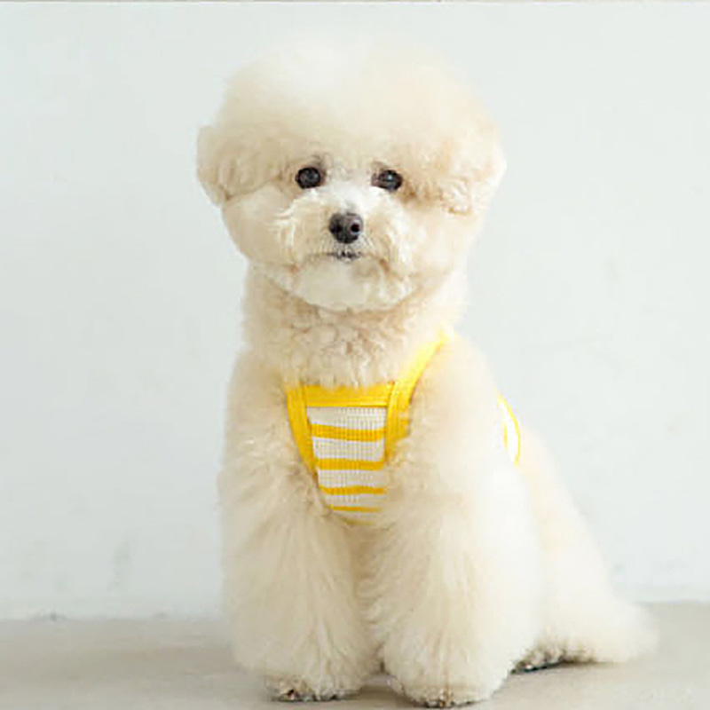 Perro primavera y verano extraño lindos payaso oso estriado eslingas delgadas perros pequeños gatos mascotas peluche ropa de perro