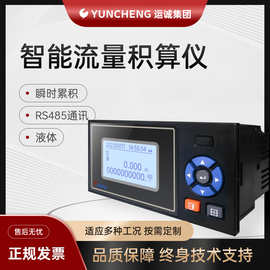 智能流量积算仪定量控制温压补偿变送输出485通讯流量计显示控制