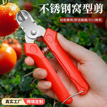 ���P���֦�������@�����ժ�O��ѩ����������ˮ���߹�ժ�����ü�