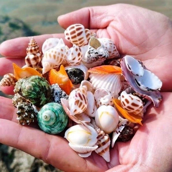 Creative set, photography props, aquarium decor handmade, creative gift, home decor