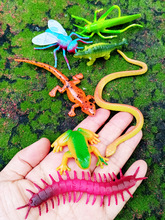 动物模型套装 桶装仿真海底海洋昆虫恐龙农场爬行玩具全套6桶免邮