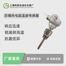 PT100铠装防爆温度传感器 机械电气设备耐高温热电阻热电偶接线盒
