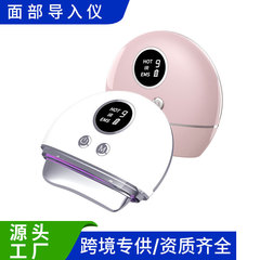 越境してよく売れている美容器の顔の導入器のマッサージ器の赤い青い光の家庭用の電気の美首器のかすみの器械