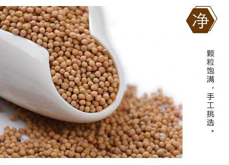 White Mustard Seed Bai Jie Zi 500g Dried Semen Sinapis Albae Traditional Chinese Herb for Decoction and External Use key features