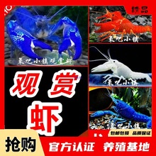 ���r�^�p�r��ˮ���r��ˮ�ͻ���r��ɽԭ������{ħ�r�໨�����r