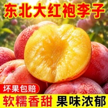 东北正宗大红袍李子甜脆黄心当季孕妇水果脱骨干核大李子5斤