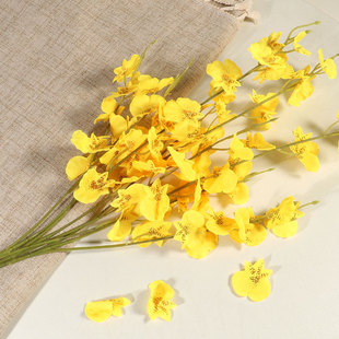 �����m���滨����Sɫ�ٻ��Ҿ��b��������m�S�������滨���l