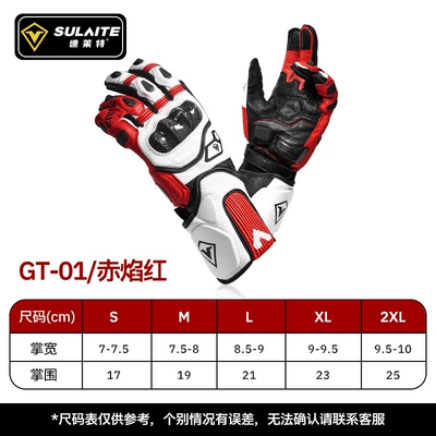 Motorcycle Safety Supplies: Riding Gloves, Carbon Fiber - gt-01red-flame-red-s
