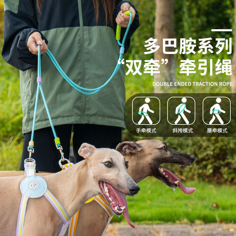 Pet traction one drag two pairs of dogs leash two dogs go out to walk the dog leash more dogs leash## Pet traction one drag two pairs of dogs leash two dogs go out to walk the dog leash more dogs leash##