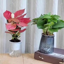 ���˻����֬�Ԅ���ˮ���������l��������ˮ��G�}�����G�j����