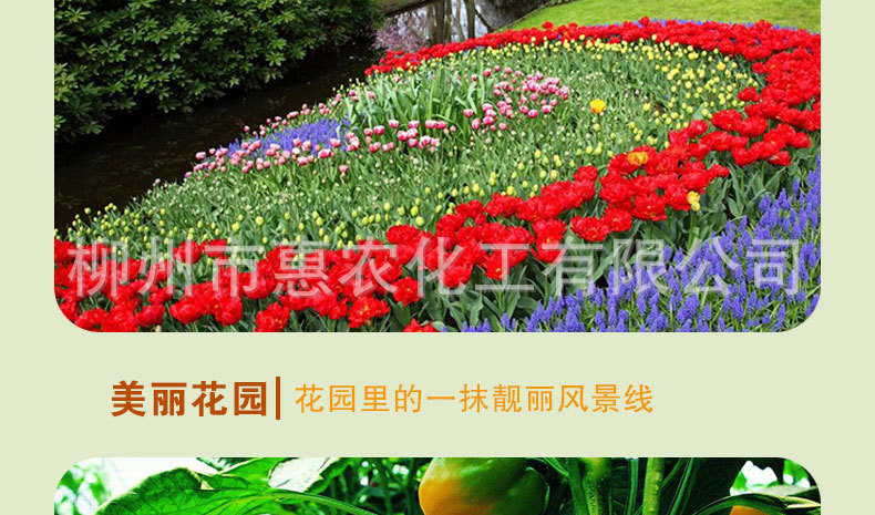 花肥详情页_23.jpg