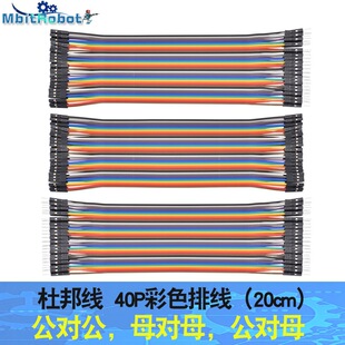 �p�ŶŰ40P 10cm/20cm�������ž�ĸ��ĸ���������ĸ��ɫ�ž�
