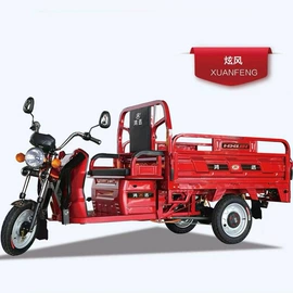 电动三轮车