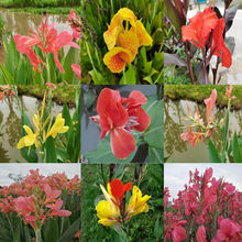 ���˽��������ԾGֲͥԺֲ���̨���@ͥԺˮ���^����ļ��_���Gֲ