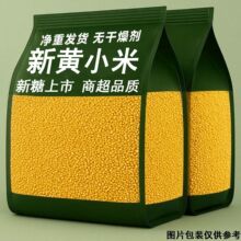 ��5��r�����SС���Bθ��ŴС��������s�Z������С�S��ɢ�b��