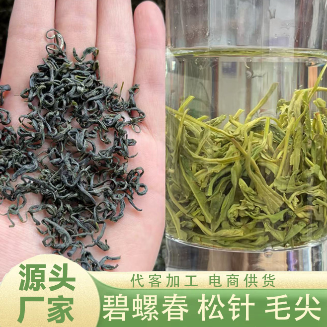 Maojian Pine Needle Biluochun Green Tea Loose Tea for Personal Consumption, Wholesale from Manufacturer, Large Quantity Available