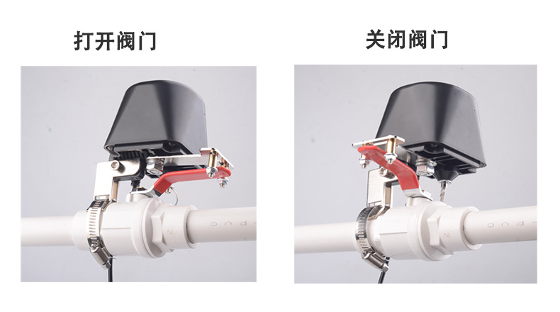 O1CN01lwMq7N1qPYHmtsYrJ_!!6202