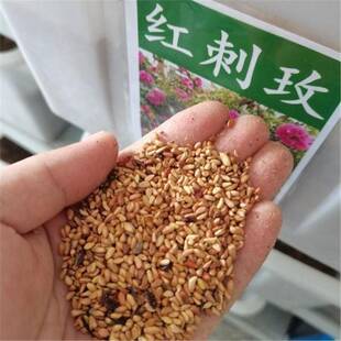 �t��õ�N����ݻ��ܷN�Ѽtõ��N���ļ��ɲ������������Nޱ�N��