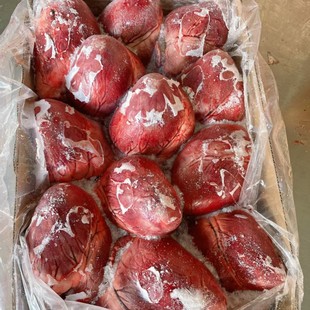 ��������i���i�����i���