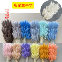 ��β�ݸɻ���β���滨��������β�Ͳݸɻ��������l�Ĕz����������