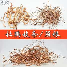 造景木枝杜鹃根枝条摆件景树根巴西树枝生命之树洞景观缸用垒德株