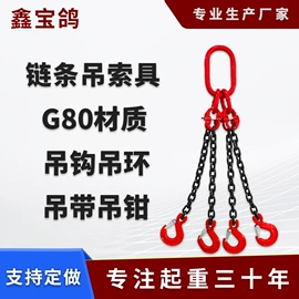 起重葫芦;卸扣;起重链条