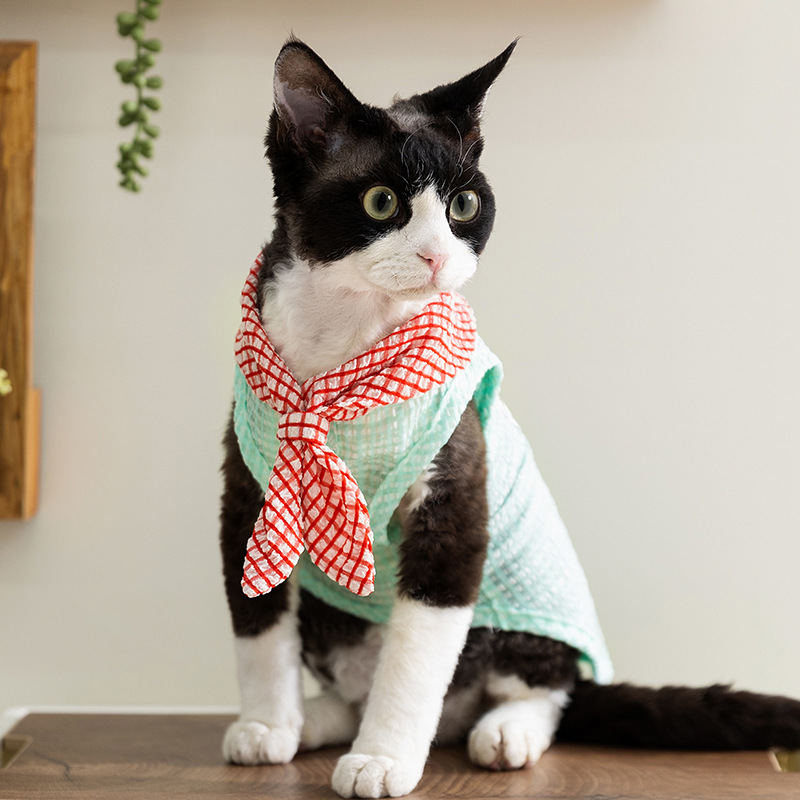 Primavera y verano de gatos, chaleco de corbata de burbuja, camiseta de gato, ropa especial para gatos, ropa para mascotas