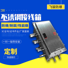 厂家供应不锈钢接线箱 防爆接线箱 防爆端子箱 增安箱 隔爆分线箱