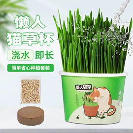 园艺灌溉工具;园艺工具;其他园林资材