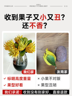 ˮ�B��֦�������ָ��҃�ˮ��ֲ�����r���ֹϾGֲ���Բ廨�^�p��