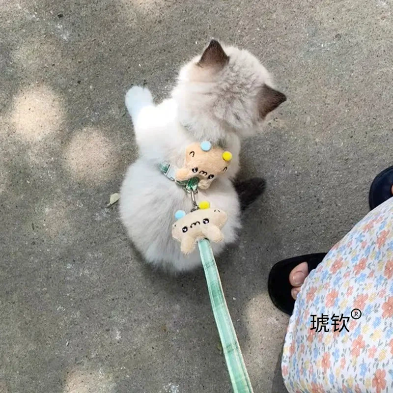 Тяговый канат для котят для предотвращения разрыва, специальный канат для прогулок с кошками для котят, Рэгдолл Бишон Фризе, шлейка для взрослых кошек, регулируемая.