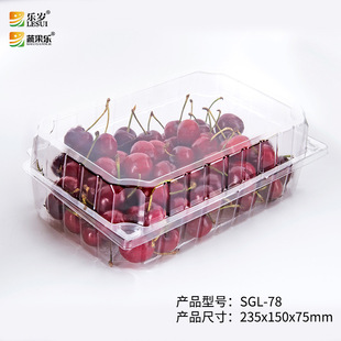 Fruit and Vegetable Fun 3.9kg Lbs 1.0kg Packs Transparent Fruit Packaging Box 1.0kg Cherries, Grapes, Jujubes, Longan Box