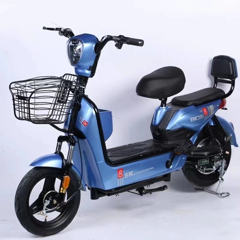 新しい国家標準電気自動車メーカー卸売国境を越えた二輪バッテリー車 48V リチウム電池大人用電動自転車|undefined