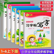 小学生写字课课练人教版罗扬字帖一二三四五六年级上册下册习字帖