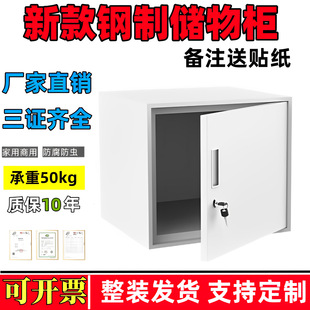 Small Filing Cabinet for Home Office with Lock Storage Sample Cabinet Food Additive Special Cabinet Single Door Storage Cabinet