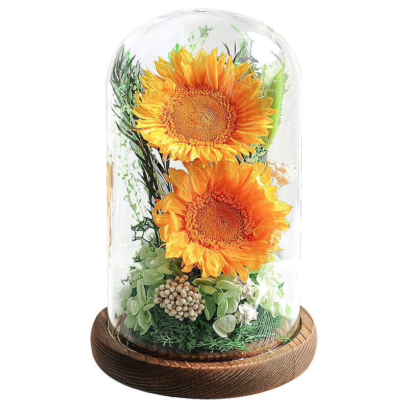 Girasoles al por mayor flor inmortal cubierta de vidrio flores de sol verdaderas flores de escritorio decoración de alta calidad regalos creativos