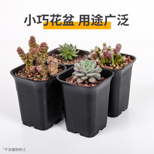 批发塑料花盆多肉花盆方形黑咖透气万象盆育苗培育绿色种植小花盆
