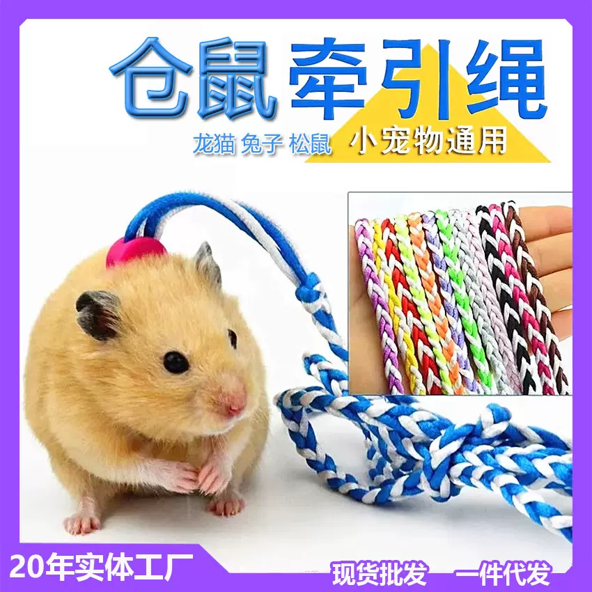 仓鼠牵引绳溜鼠带铃铛金丝熊兔子豚鼠松鼠绳荷兰猪小宠物外出背带