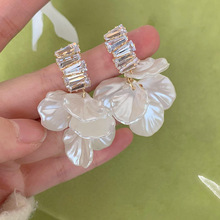 ���Ż������Kؐ�����h���Ů�o��������P���A���|�ٴ�߼��ж��