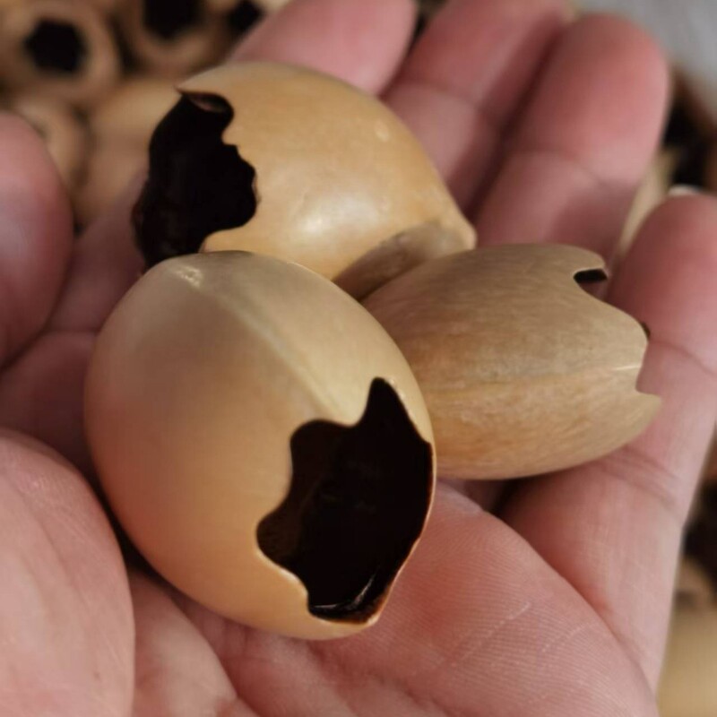 Phoenix Egg Ornaments, Decorative Accessories, Natural Fruit Shell Wind Chimes, DIY Materials, Small Pendants, Small Rattles Phoenix Egg Ornaments, Decorative Accessories, Natural Fruit Shell Wind Chimes, DIY Materials, Small Pendants, Small Rattles