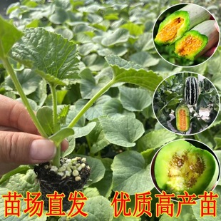 ��Ʒ����۳���������ļ���Ƥ�߮a�ֹ������������������ԭ���l