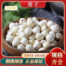 ɏӸ؛ɢboĥƤɏҰȥоɏ؛lһBƷș