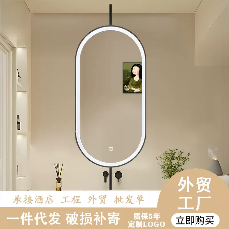 珍涵法式轻奢吊镜浴室镜吊杆悬空吊镜悬空圆镜酒店民宿吊镜智能