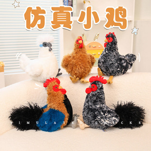 ��ַ����J���uë�q��߿ɐ���ĸ�u��ż�羳�W�tͬ����ﱧ������