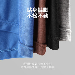 Single-pack sachet men's modal straight-leg underwear with high elasticity, wholesale for young men